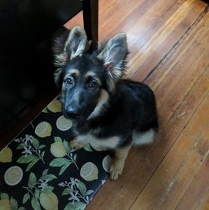 Meet your Posher, Aj